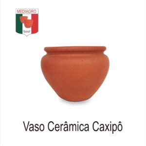 VASOS CERÂMICAS CAXIPÔ